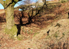 
The middle period of the Swffryd levels, January 2011